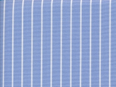2Ply: pale blue stripes