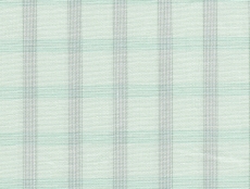 2Ply: pale green checks