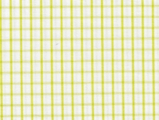 2Ply: pale green checks