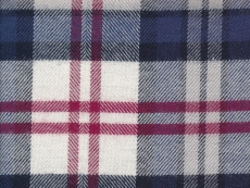 Flannel: large red blue checks