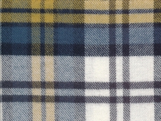 Flannel: large yellow, black checks