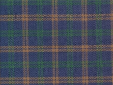 Flannel: Checks blue green brown