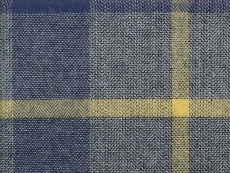 Flannel: Checks blue yellow grey