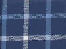 Flannel: checks blue white