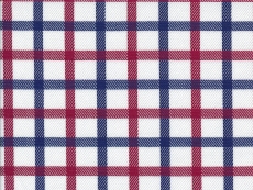 2Ply: blue and red checks