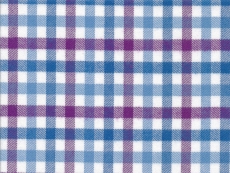 Flannel: blue-pink checks
