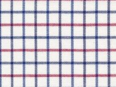 Flanel: blue and red checks