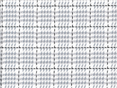 2Ply:houndstooth within checks