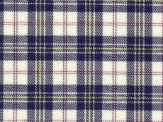 Flannel: blue checks