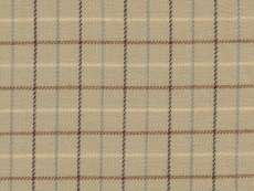 Flannel: brown checks