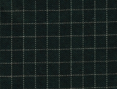 Flanell: dunkelgrünes Karo