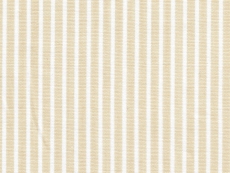 2Ply: beige stripes