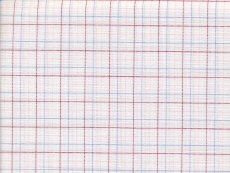 2Ply: thin red and blue checks