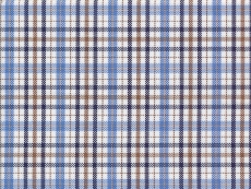 Oxford blue and brown checks