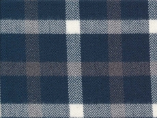Flannel: Checks blue white