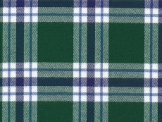 Flannel: blue-green checks