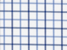 Dessin: blue with dark blue checks