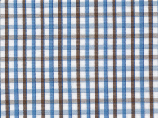 Dessin: brown-blue checks