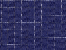 Flannel: dark blue checks