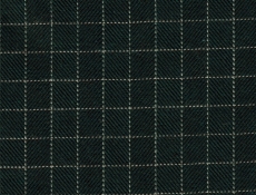 Flannel: dark green checks