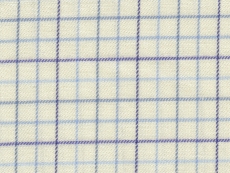 Flannel: thin blue checks