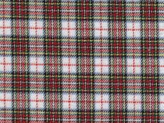 Flannel: yellow-red checks